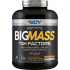 Bigjoy Sports BIGMASS Gainer GH FACTORS + 1.441,50 TL