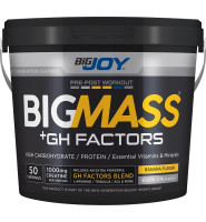  BIGMASS Gainer GH FACTORS