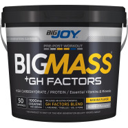 Bigjoy Sports BIGMASS Gainer GH FACTORS