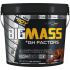 Bigjoy Sports BIGMASS Gainer GH FACTORS + 741,34 TL