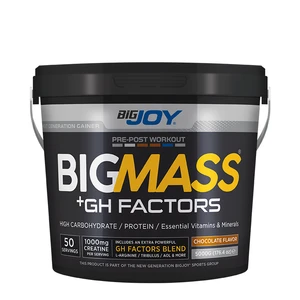 BIGMASS Gainer GH FACTORS