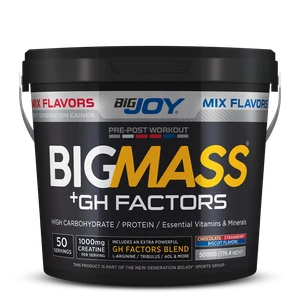 Bigjoy BIGMASS Gainer GH FACTORS