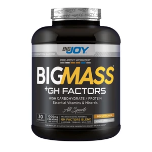 Bigjoy BIGMASS Gainer GH FACTORS